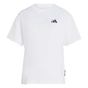 ADIDAS SPORTSWEAR Funkcionalna majica EMBROIDERY PACK LOOSE GRAPHIC rdeča / črna / bela