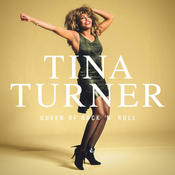 Tina Turner - Queen Of RocknRoll (180g) (Limited Edition Box Set) (5 LP)