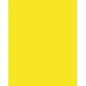 Dekorativni karton, obostrani, 50 x 70 cm, 220 g, 10 listova, FOLIA, limun žuta 61221014