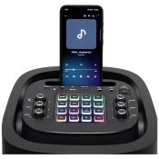 SAL Zvucnik bežicni, Bluetooth , FM radio , KARAOKE, 80W - PAR2100BT