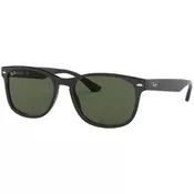 Ray-Ban RB2184 901/31