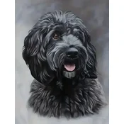 Norimpex - Puzzle Diamant painting: Black Cockapoo 30x40cm - 1 - 39 dijelova