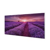 tulup.si Stenska plošča za kuhinjo Terenske vresovke 120x60 cm