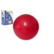 Unison Gimnastična žoga 55cm rehabilitacijska sprostitev v škatli 16x22cm