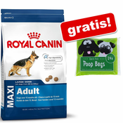 Veliko pakiranje Royal Canin Size + Quick Pick etui z vrečkami za iztrebke gratis! - Mini Adult Sterilised (8 kg)