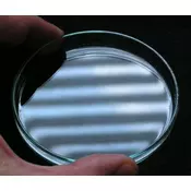 Lacerta petrijeva šolja 100mm ( Petri100 )
