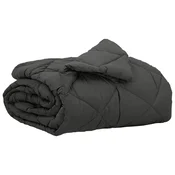 Vidaxl Poletna odeja Antracit 200 x 135 cm Mikrovlakna