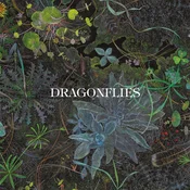 The Dragonflies - Dragonflies (CD)