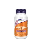 NOW – Pycnogenol, ekstra močan 150 mg - 60 kapsul