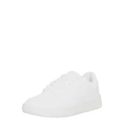 Champion  B24231  Bela