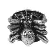 Prstan Gothic Spider - SS8-1137R