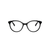 Swarovski Naocare SK 2019 1001