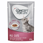 12x85 g Concept for Life po posebni ceni! - All Cats v omaki