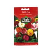 FLORIS Seme za cvece Dalija Pompon 0.3 gr