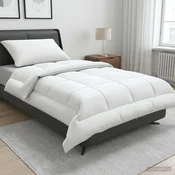 vidaXL Set odeje in blazine 2 pcs 137x200 cm Poletje 200 GSM Volna
