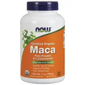 Maca 6:1 koncentrat, čisti prah - 198g
