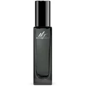BURBERRY Mr. Burberry Parfem 30 ml (man)