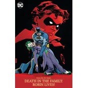 FROM THE DC VAULT DEATH IN THE FAMILY RO