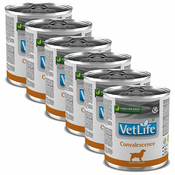 Farmina Vet Life Convalescence Canine 6 x 300 g