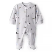 Carters zeka dr, decaci