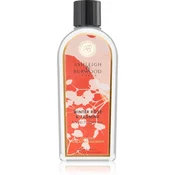 Ashleigh & Burwood London Winter Rose & Jasmine nadomestno polnilo za katalitično svetilko 500 ml