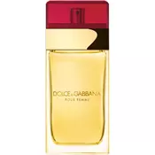 Dolce&Gabbana Pour Femme toaletna voda za žene 100 ml