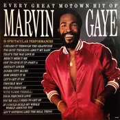 Marvin Gaye Every Great Motown Hit Of Marvin Gaye: 15 Spectacular Performances (Vinyl LP)