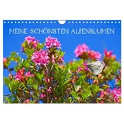 Meine schönsten Alpenblumen (Wandkalender 2026 DIN A4 quer), CALVENDO Monatskalender