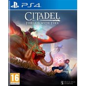 WEBHIDDENBRAND Blue Isle Studios Citadel: Forged with Fire igra, PS4