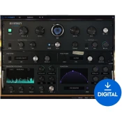 Arturia Rev INTENSITY (Digitalni izdelek)