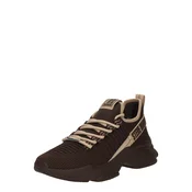 STEVE MADDEN Nizke superge MAC-E temno bež/črna