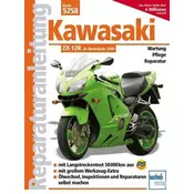 Kawasaki ZX-12 R ab Modelljahr 2000