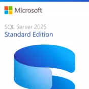 SQL Server 2025 Standard Edition Perpetual 1 Server License
