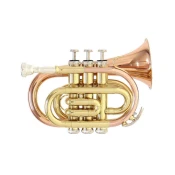 Trobenta-pocket Bb PT-101G Roy Benson RB701.012