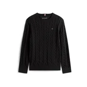 TOMMY HILFIGER Pulover črna