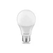 BRAYTRON LED Sijalica Advance, 6.5W, E27, G45, 6500K