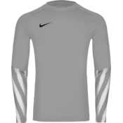 Nike Dres z dolgimi rokavi Dri-FIT Park V Long Sleeve Goalkeeper
