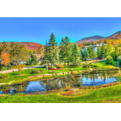 BlueBird - Puzzle Stowe, Vermont, USA 1000 - 1 000 kosov