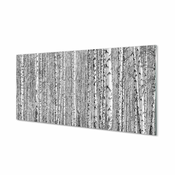 tulup.si Slika na akrilnem steklu Črno-belo drevo gozd 100x50 cm 4 obešalnika