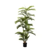 PALMA PHOENIX 48LISTNA V180cm