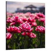 shumee Platno s tiskom Botanika Tulipani Cvetje 80x100 Cvetlični šopek