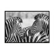 shumee SLIKOVNI PLAKAT V OKVIRJU 43x33 cm Zebre P928