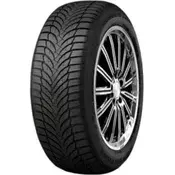Roadstone Eurovis Alpine 2 ( 225/55 R16 95H)