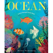 Ocean: A Peek-Through Picture Book