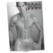 Real Cocks 2027 - erotični stenski koledar (1 kos)