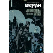 Urban comics Nomad : Batman - La Malédiction qui sabattit sur Gotham