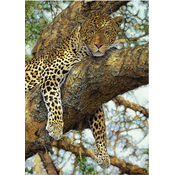 Puzzle Leopard 1000 kosov