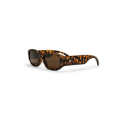 CHPO Brooklyn Turtle Brown Sunglasses brown