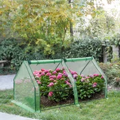 Mini rastlinjak Nissewaard | 180x90x90 cm | Zelena | Zaščitite svoje rastline pred vremenskimi vplivi!