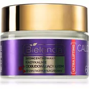 Bielenda Calcium + Q10 Concentrated radically rebuilding anti-wrinkle cream for day 60+ učvrstitvena dnevna krema proti gubam 50 ml